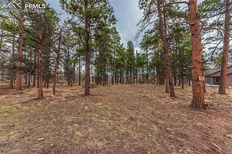 1290 Firestone Drive, Woodland Park, CO 80863 - #2