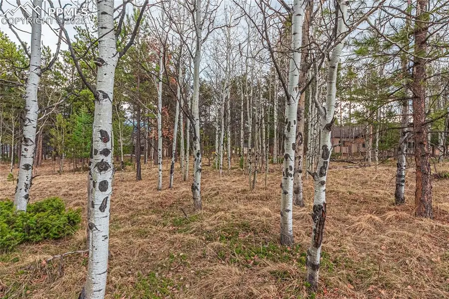 1290 Firestone Drive, Woodland Park, CO 80863 - #3