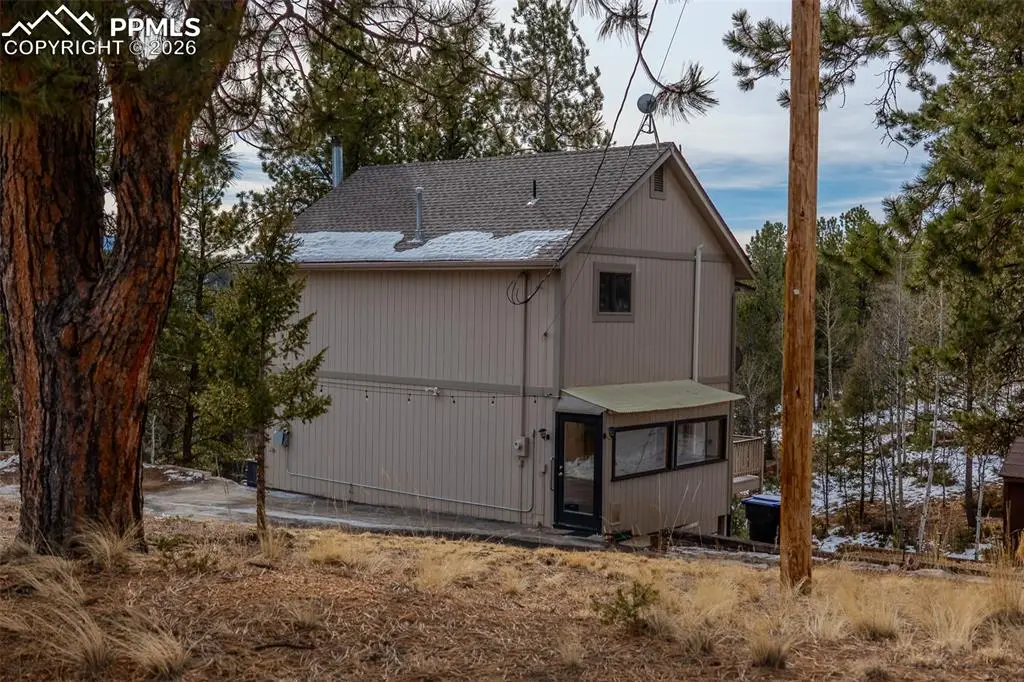 493 Lost Lake Drive, Divide, CO 80814 - #1
