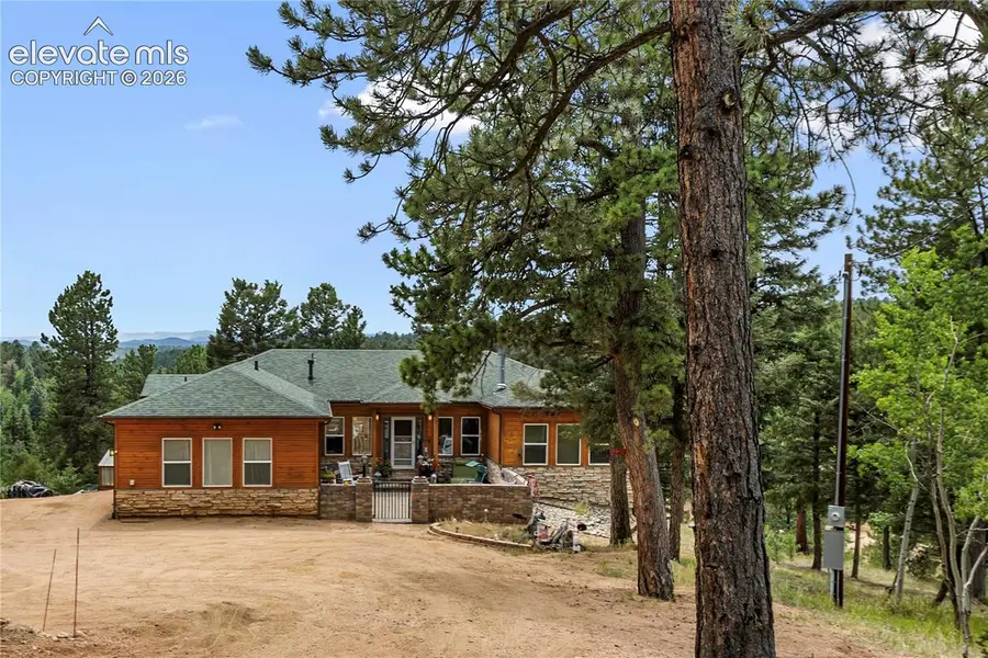 185 Bear Lake Circle, Divide, CO 80814 - #3