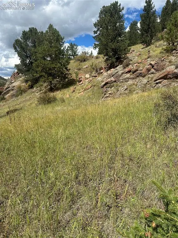 County Road 1, Cripple Creek, CO 80813 - Image #2