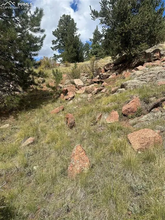 County Road 1, Cripple Creek, CO 80813 - Image #3