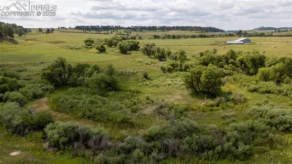 11503 E Smith Road, Elbert, CO 80106