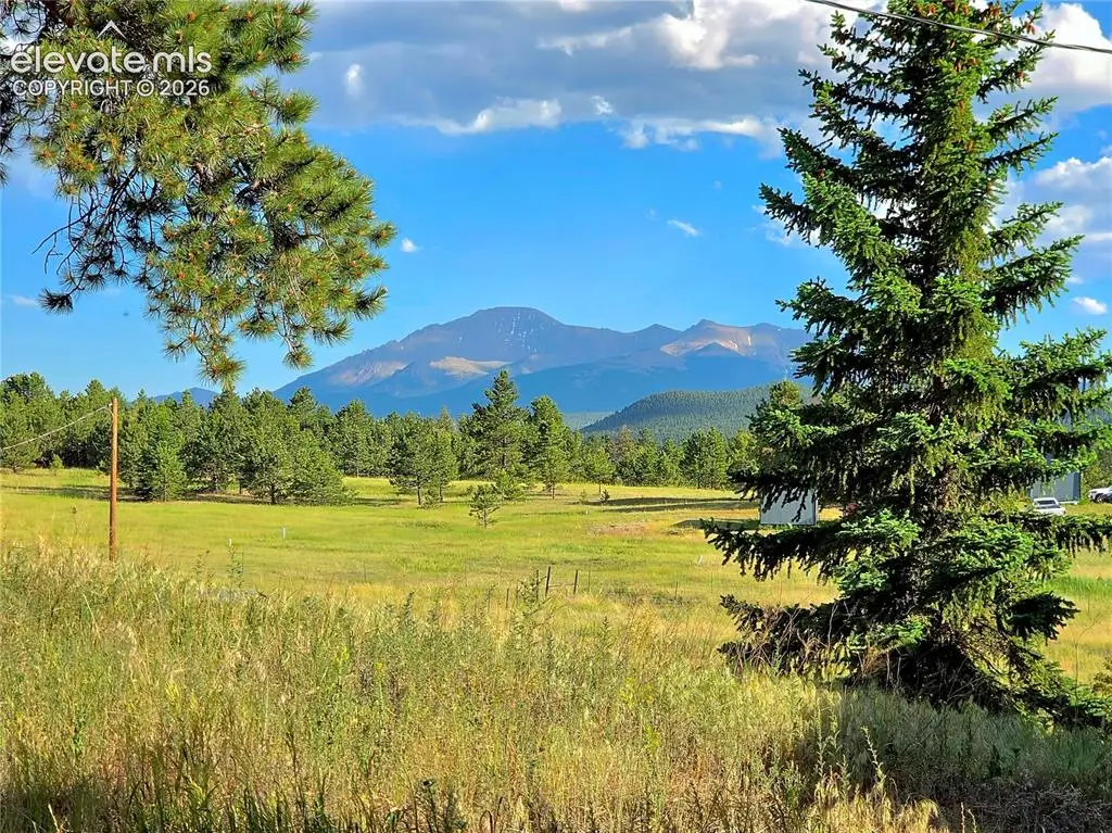 584 Sourdough Road, Woodland Park, CO 80863 - #1