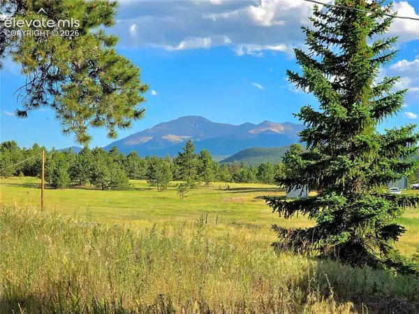 584 Sourdough Road, Woodland Park, CO 80863