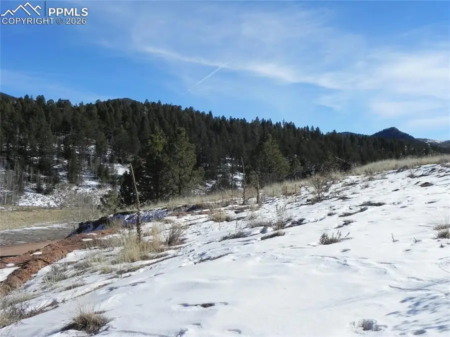 277 Gold King Drive, Cripple Creek, CO 80813 - #3