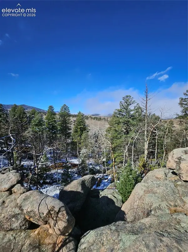 150 & 124 Summit Loop, Florissant, CO 80816