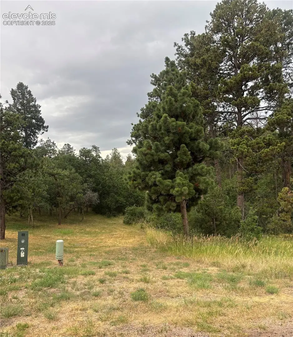 1455 Blueberry Hills Road, Monument, CO 80132 - #1
