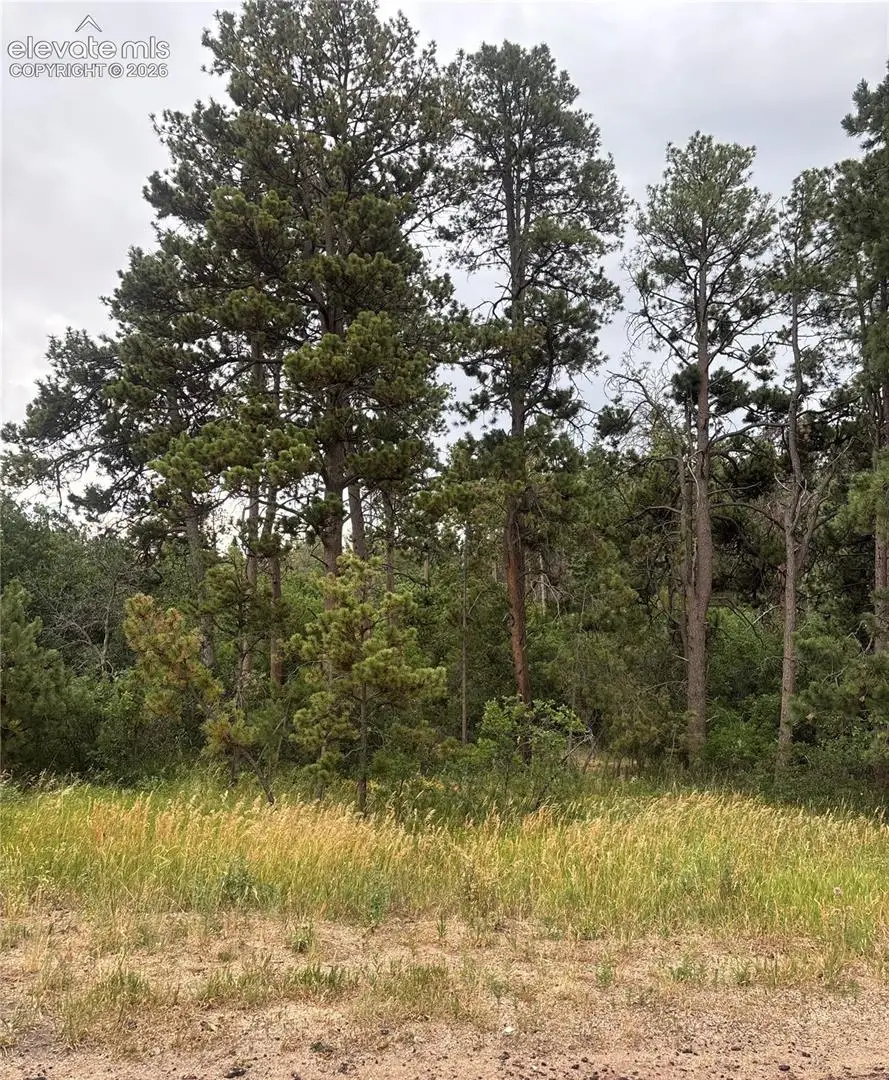 1455 Blueberry Hills Road, Monument, CO 80132 - #2