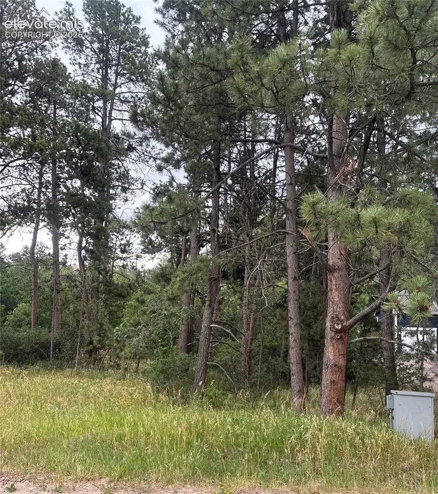 1455 Blueberry Hills Road, Monument, CO 80132 - #3