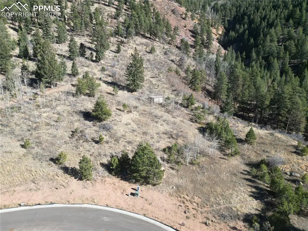 1375 Blue Haven Place, Woodland Park, CO 80863 - Image #1