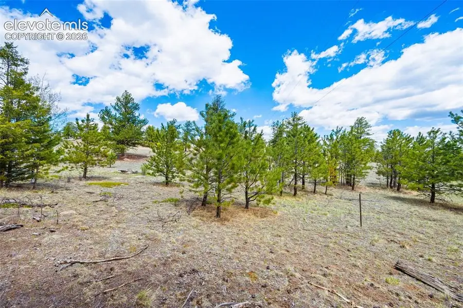 121 Bridle Lane, Florissant, CO 80816 - #2
