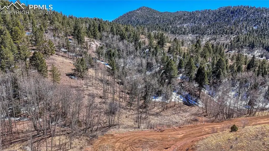 513 Last Dollar Drive, Cripple Creek, CO 80813 - #1