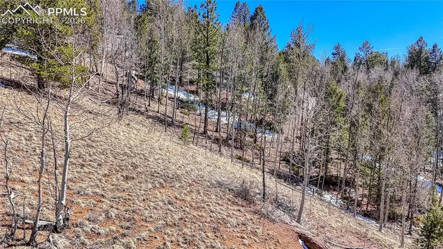 513 Last Dollar Drive, Cripple Creek, CO 80813 - #3