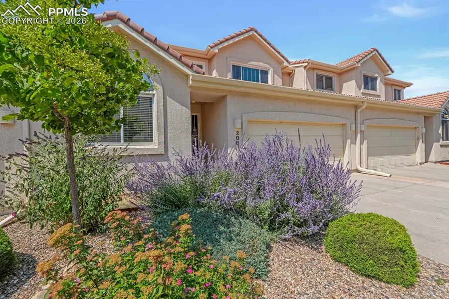 206 Luxury Lane, Colorado Springs, CO 80921 - Image #3