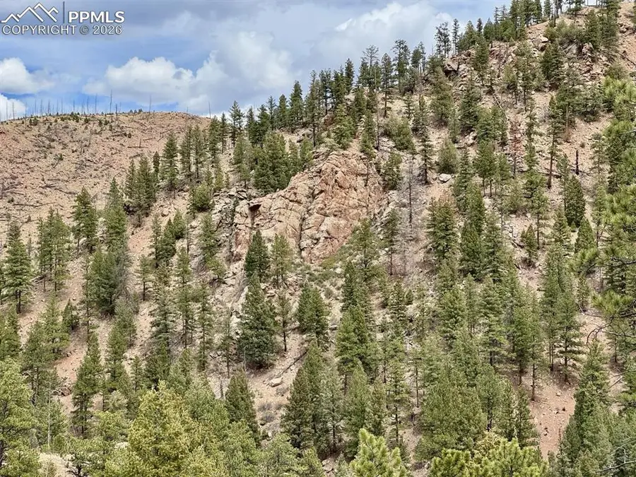 13526 N Highway 67, Woodland Park, CO 80863 - #2
