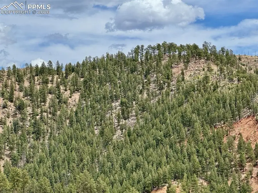13526 N Highway 67, Woodland Park, CO 80863 - #3