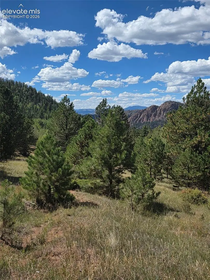181 Troy Drive, Cripple Creek, CO 80813 - #1