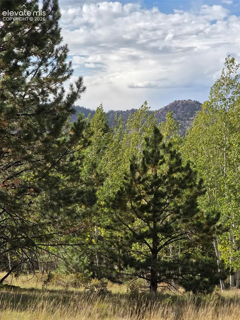 181 Troy Drive, Cripple Creek, CO 80813 - #3