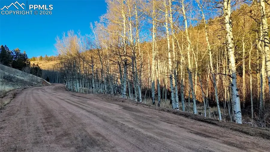 524 Buckhorn Road, Cripple Creek, CO 80813 - #2