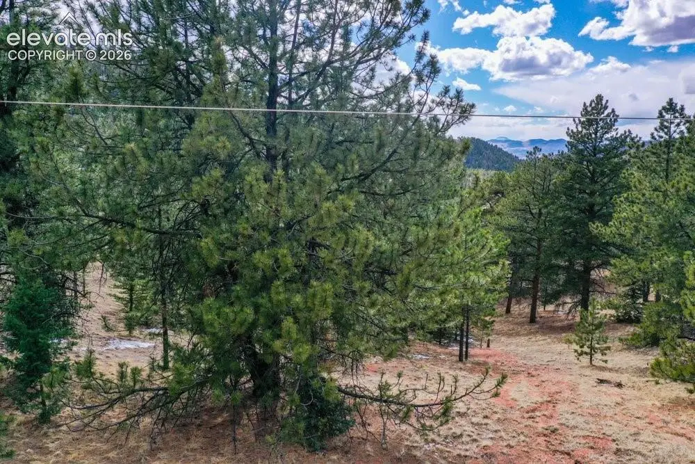 395 Wabash Terrace, Cripple Creek, CO 80813 - #1