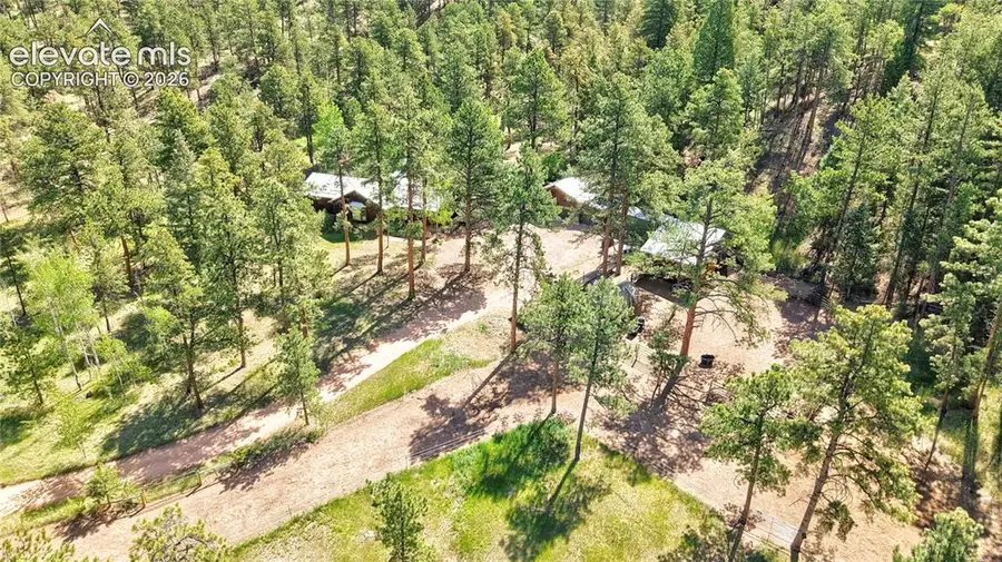 8285 Packard Lane, Green Mountain Falls, CO 80819 - #3