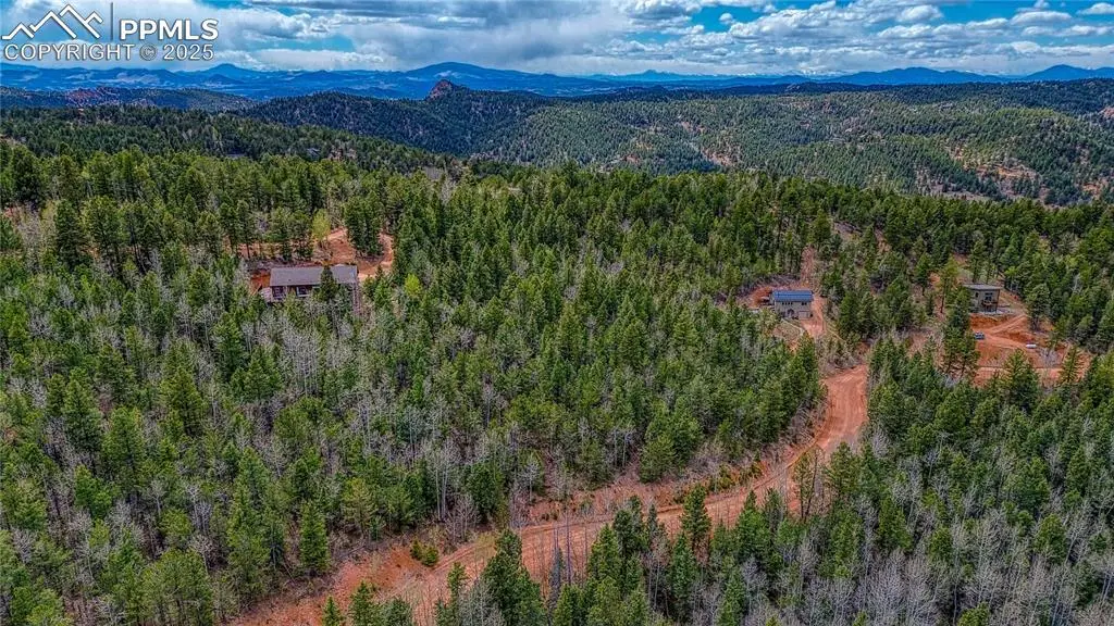 1218 Calcite Drive, Divide, CO 80814 - #1