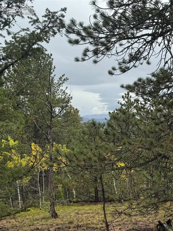 7935 County Road 51, Divide, CO 80814