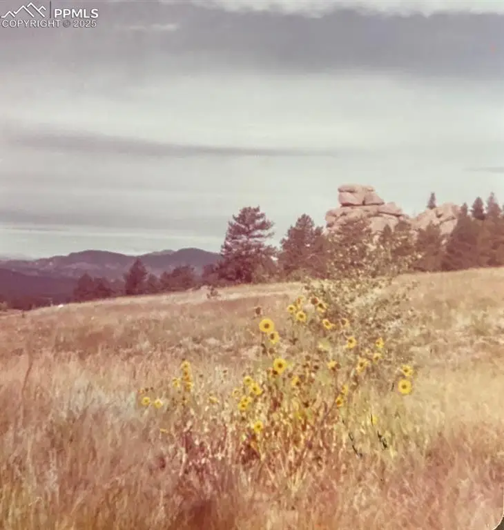 785 Obsidian Drive, Florissant, CO 80816 - Image #3