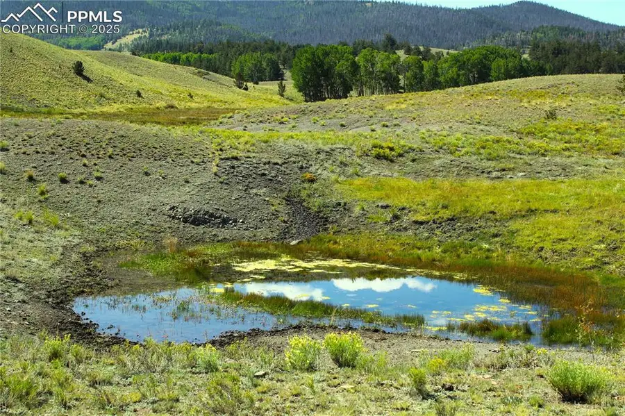 Highway 9, Guffey, CO 80820 - #2