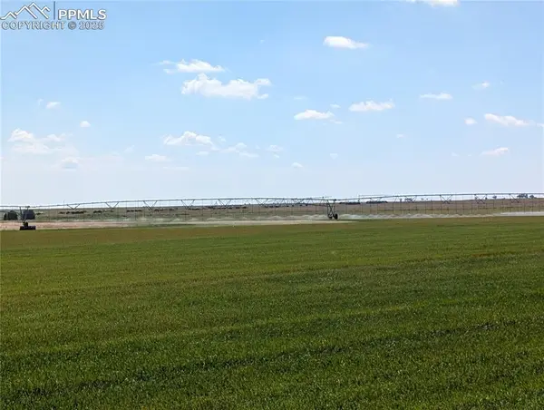 23500 County Road 5, Rush, CO 80833