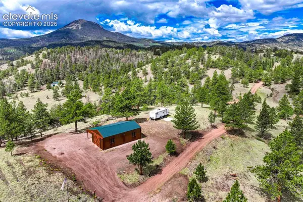 75 Deer Run Na, Guffey, CO 80820