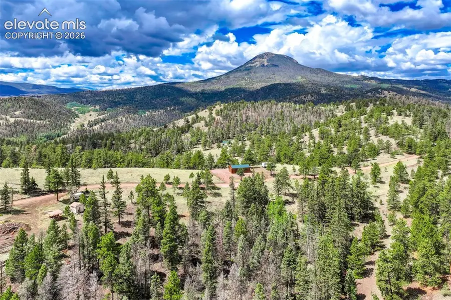 75 Deer Run Na, Guffey, CO 80820 - #2