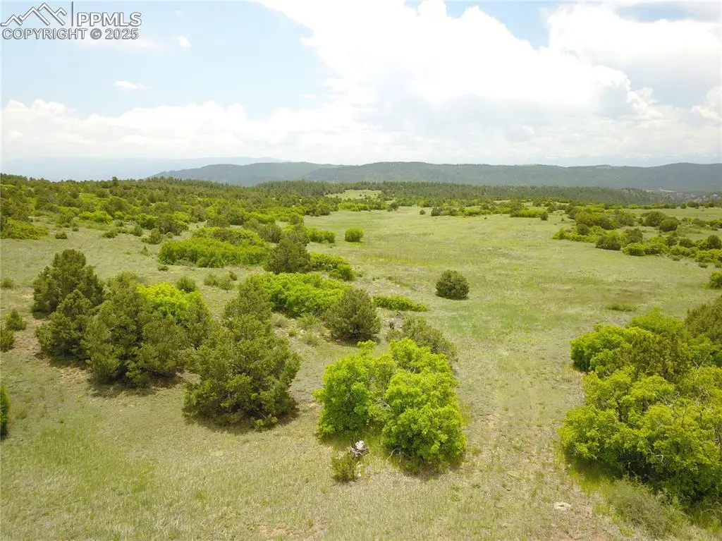 82 Bourbon Trail, Canon City, CO 81212 - Image #1