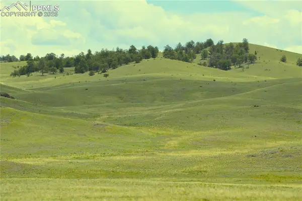 Ahlers Road, Hartsel, CO 80449