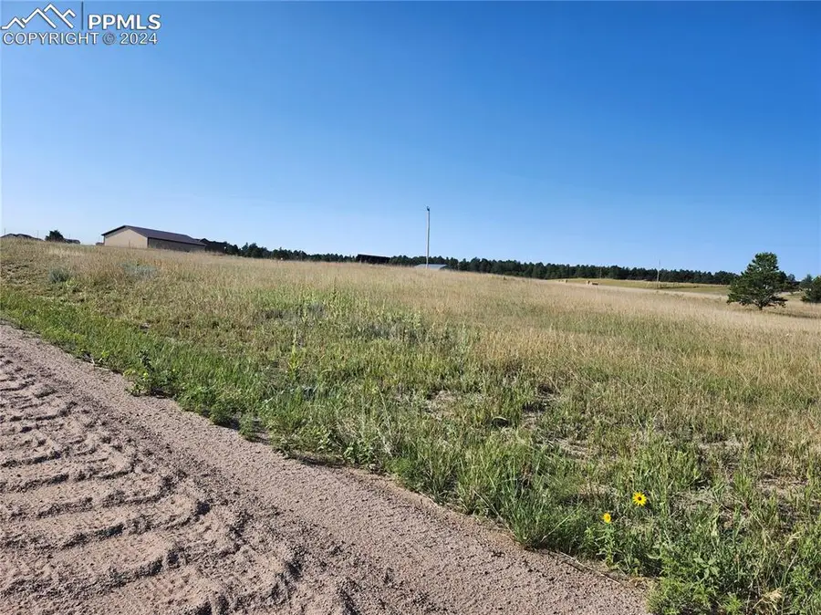 12205 Forest Green Drive, Elbert, CO 80106 - Image #3
