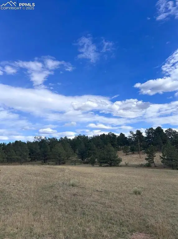 382 Arrowhead Drive, Florissant, CO 80816 - Image #2