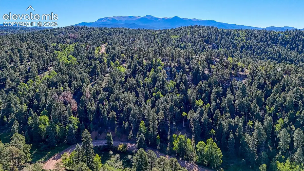 776 Spring Valley Lane, Florissant, CO 80816 - #1