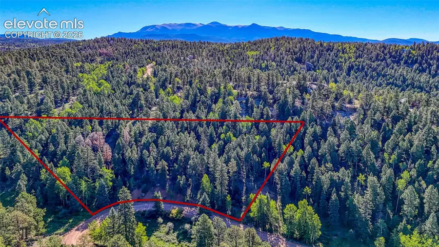 776 Spring Valley Lane, Florissant, CO 80816 - #2