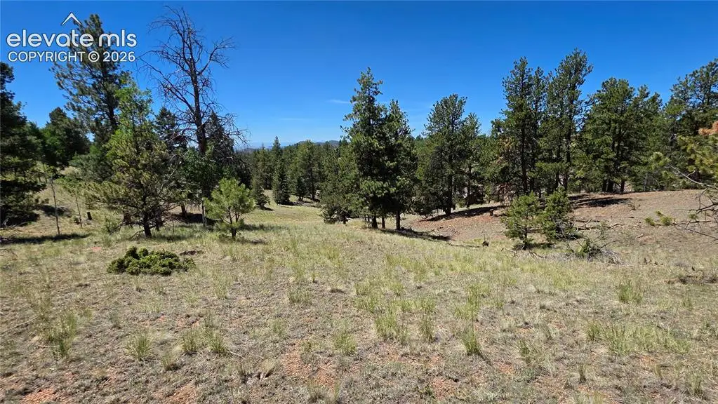 1366 N Mountain Estates Road, Florissant, CO 80816 - #1