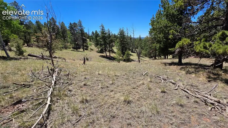 1366 N Mountain Estates Road, Florissant, CO 80816 - #3