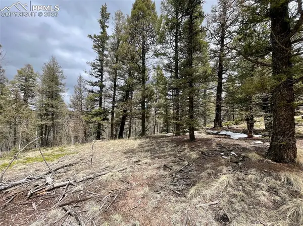 228 Alpine Drive, Florissant, CO 80816