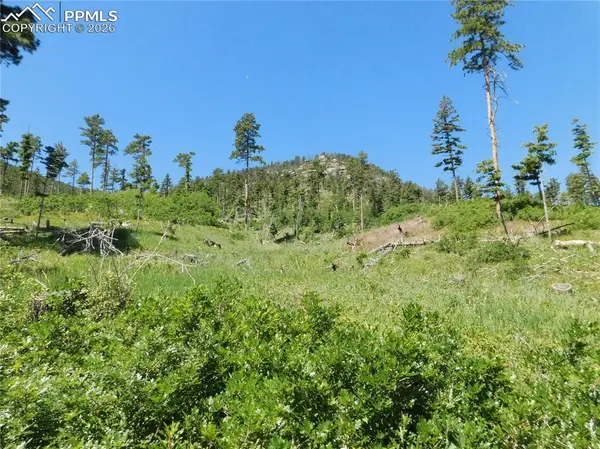 8249 Yuma Circle, Larkspur, CO 80118