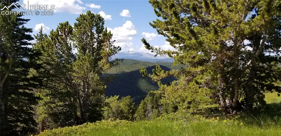 Upper Apex Road, Black Hawk, CO 80422 - Image #3