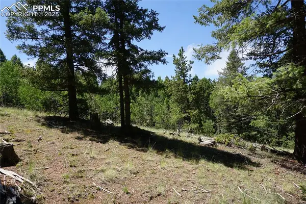 1000 Bennett Drive, Cripple Creek, CO 80813