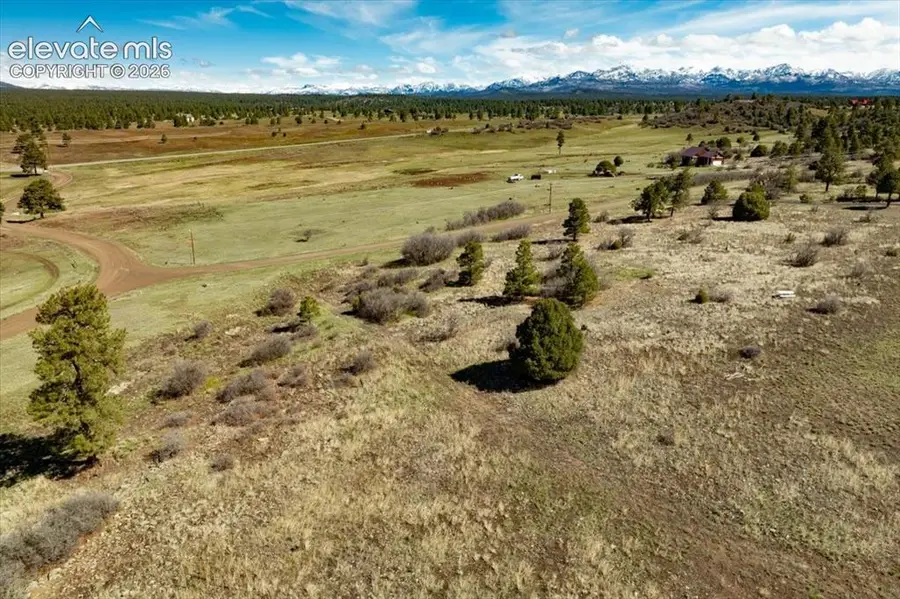 1234 Scenic Avenue, Pagosa Springs, CO 81147 - #3