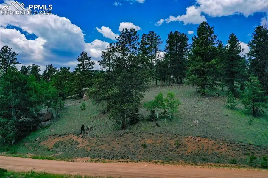 525 Spring Valley Lane, Florissant, CO 80816 - #2