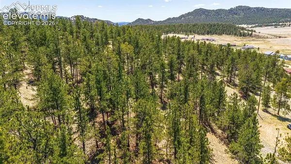 56 Dallas Park Circle, Florissant, CO 80816