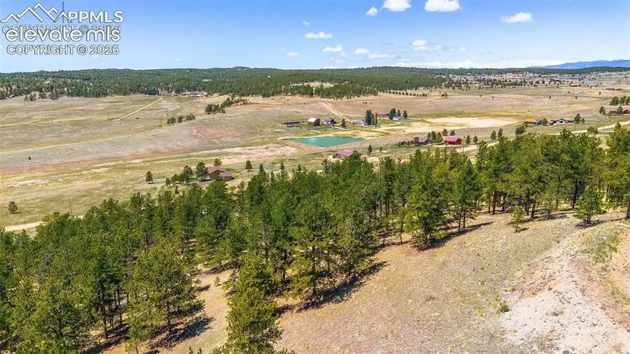 56 Dallas Park Circle, Florissant, CO 80816 - #2