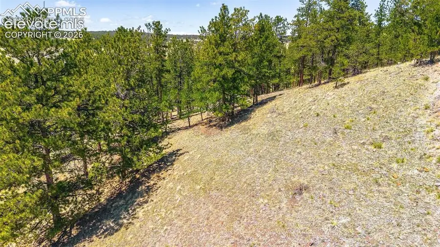 56 Dallas Park Circle, Florissant, CO 80816 - #3